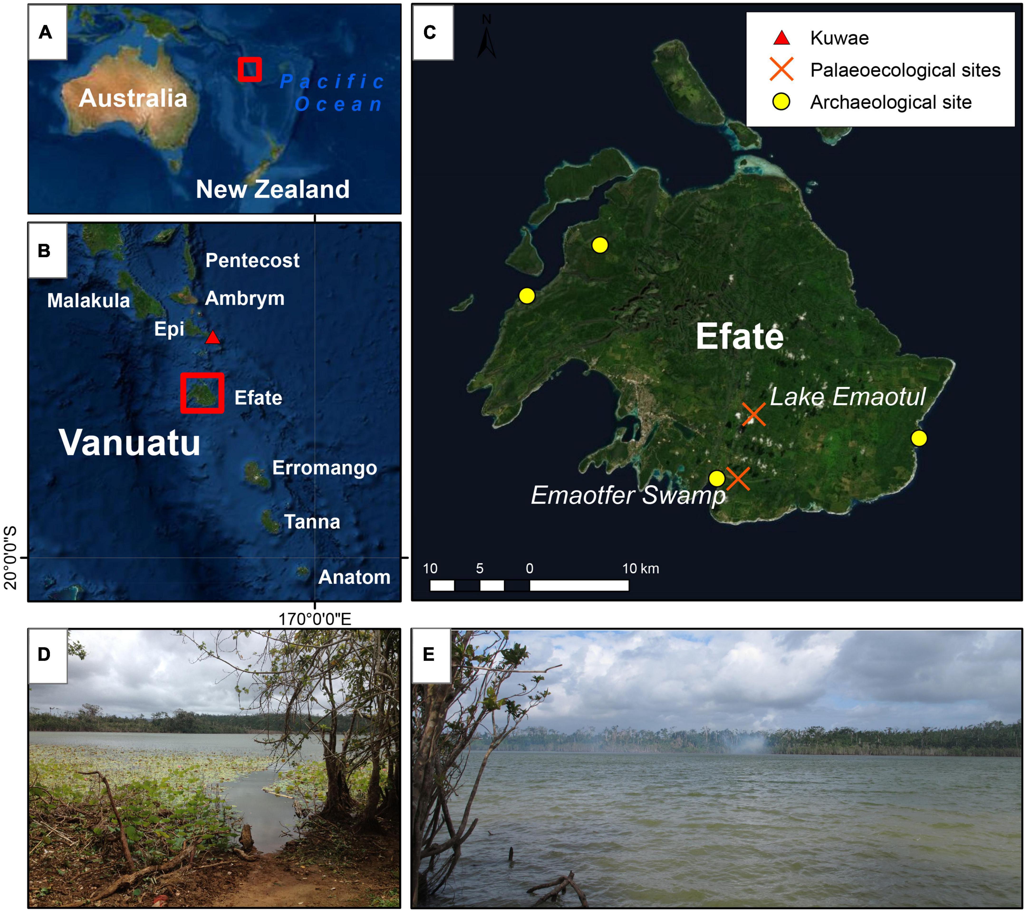 Island ecosystem responses to the Kuwae eruption and precipitation change over the last 1600 years, Efate, Vanuatu